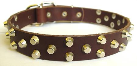 Studded Dog Collar, Brown
