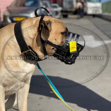 Bullmastiff Lederner Maulkorb von ForDogTrainers