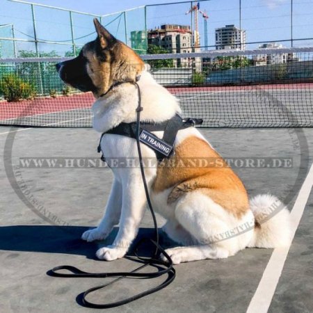 Nylongeschirr mit Klettlogos für Akita