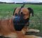 Fester Ledermaulkorb mit Stahlschienen "Dondi Plus" für Boerboel Mastiff