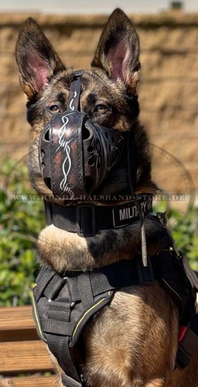 Designer Ledermaulkorb für Malinois