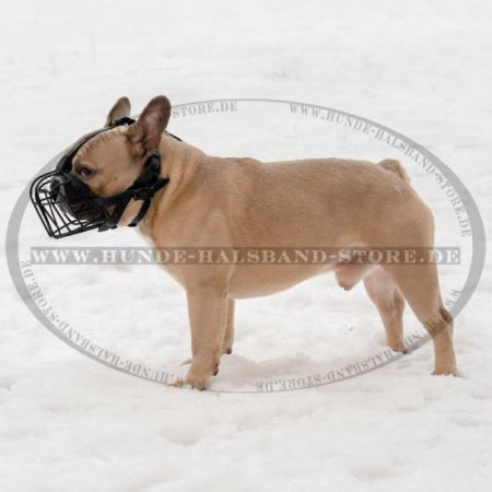 Gummierter Beißkorb für Französische Bulldogge