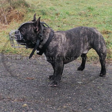 Drahtmaulkorb für Französische Bulldogge