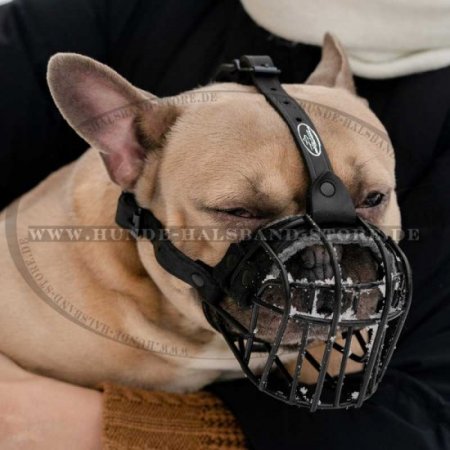 Gummierter Beißkorb für Französische Bulldogge