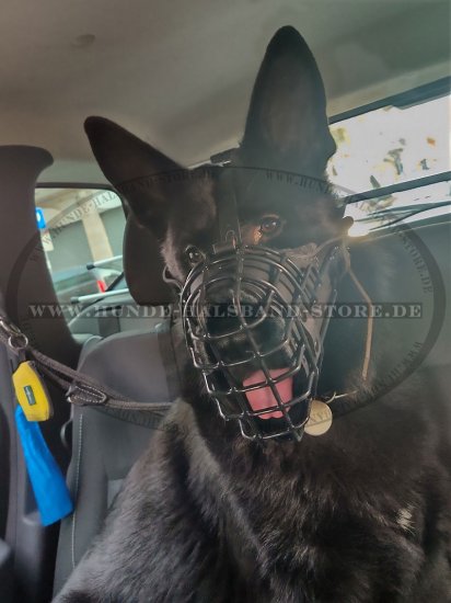 New Design Wire Dog Muzzle Covered by Black Rubber