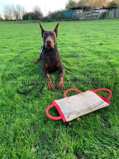 Praktisches Beißkissen aus Jute für Hundetraining