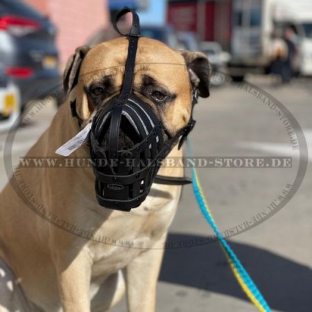 Bullmastiff Lederner Maulkorb von ForDogTrainers