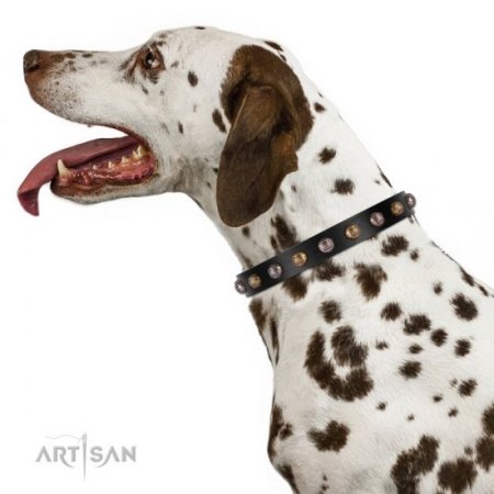 Ledernes Hundehalsband mit Schmuck-Mix