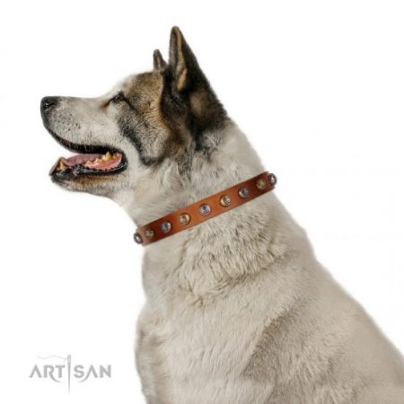 Ledernes Hundehalsband mit Schmuck-Mix