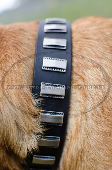 Hunde Halsband Leder Exklusiv mit Platten für Bordeauxdogge ⑤ - zum Schließen ins Bild klicken