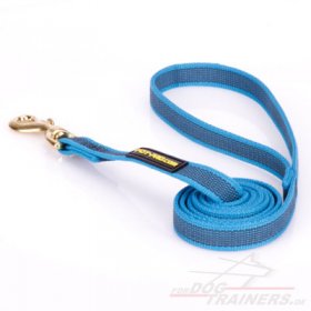 Blue Nylon Dog Leash for all weather