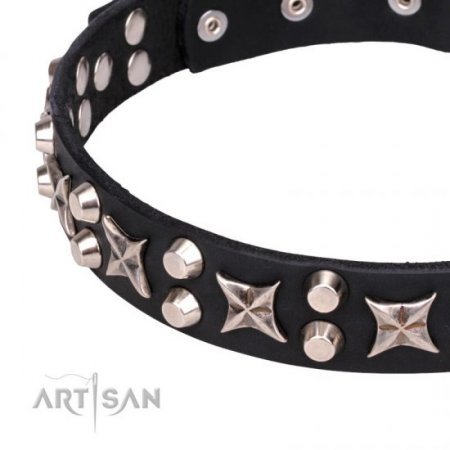 Schickes Lederhalsband "Shining Stars" von FTD Artisan