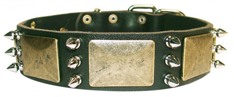 Attractive Leather Dog Collar with brass plates and spikes - Click Image to Close