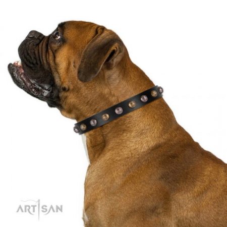 Ledernes Hundehalsband mit Schmuck-Mix