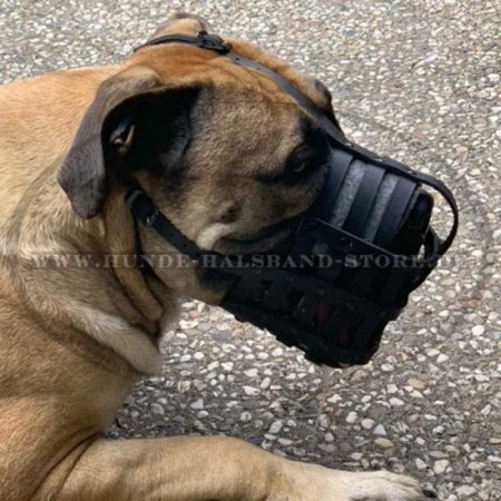 Bullmastiff Lederner Maulkorb von ForDogTrainers