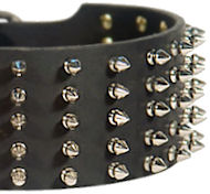 Dog Collar with Nickel-Plated Spikes | Extra Wide Collar