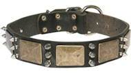Attractive Leather Dog Collar with brass plates and spikes