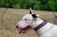 Exklusives Lederhalsband für Ihren Bullterrier bemalt