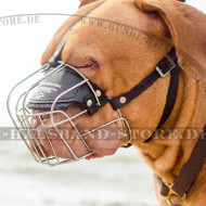 Wire Basket Muzzle for Dogue de Bordeaux