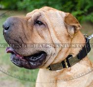 Shar-Pei einzigartiges Lederhalsband mit Spikes und Schildern