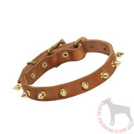 Dog Collar with Spike 19 mm