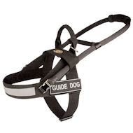 Guide Dog Harness from Black Strong Nylon