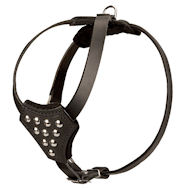 Studded Harness for small breeds and puppies of large breeds
