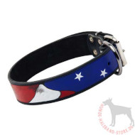 Leather Dog Collar with Paint | Designer Dog Collar in USA Style