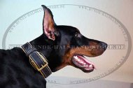 Doberman Collar Padded