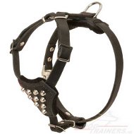 French Bulldog Leather Harness, Best One!