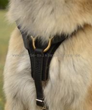 Walking Tracking leather dog harness