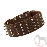Leather Dog Collar with 4 Rows of Lateral Spikes & Studs, 2 inch