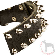 Spiked Collar for Dogs