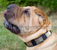 Originelles Platten Hundehalsband aus Leder für Shar-Pei