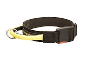 Nylon Dog Collar with QUICK RELEASE BUCKLE and Handle