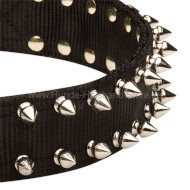 Black Nylon Spiked Dog Collar