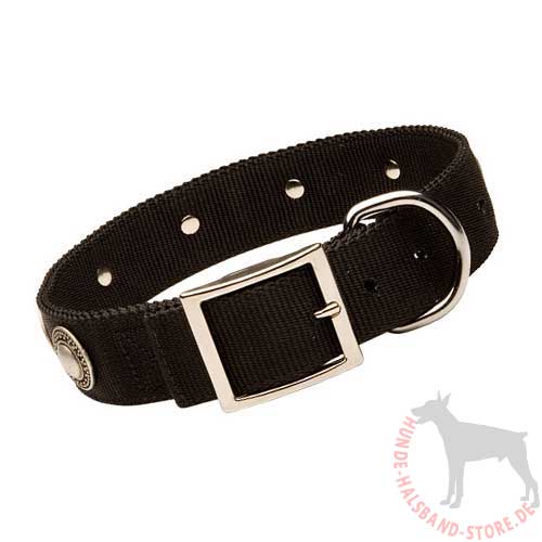 Elegant Dog Collar Nylon with Conchas 