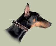 Perfect leather 2 rows spiked dog collar for doberman