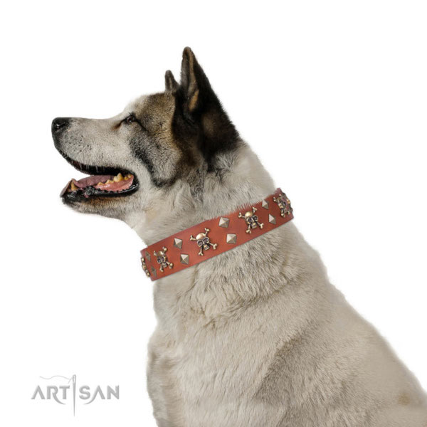 Halsband mit
Design am Hund