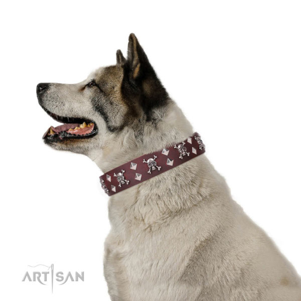 bequemes Hundehalsband aus Leder im Rocker Design