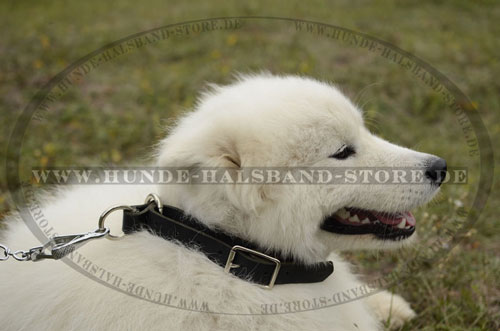 Hundehalsband fest genaeht