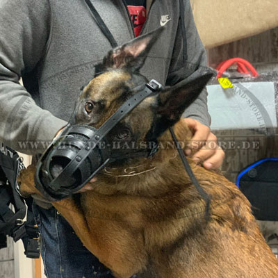 Hunde Maulkorb fuer Malinois