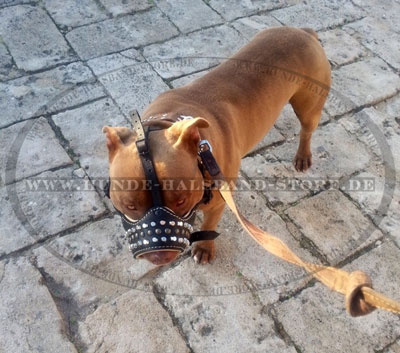 Beisskorb mit Nappa-Leder am Hund