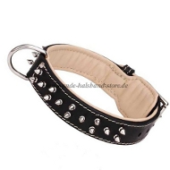 Attractive Leather Spiked Collar, Padded Dog Collar