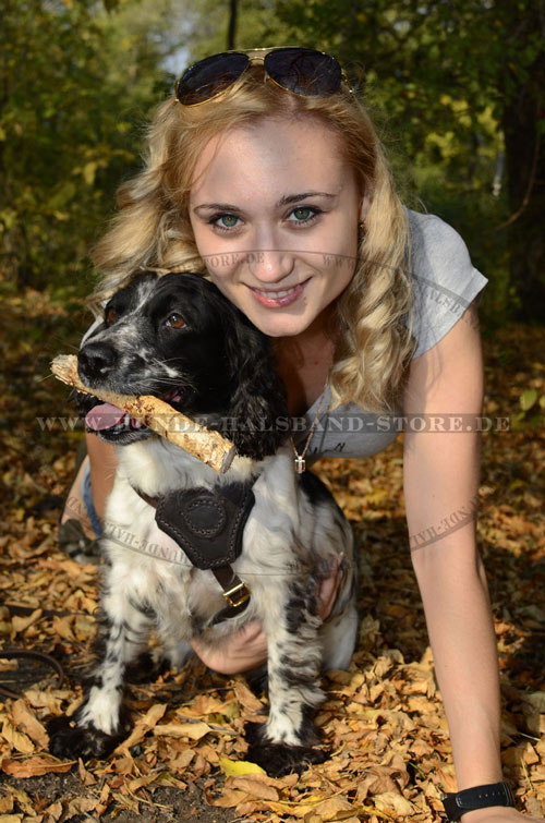 Brustgeschirr weich gepolsert am Hund