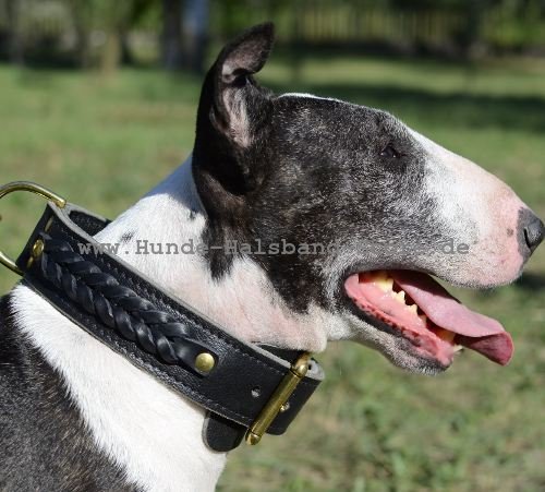 Hundehalsband Leder für Bullterrier geflochten - zum Schließen ins Bild klicken