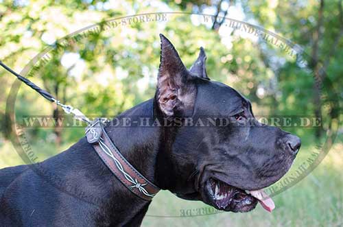 Dog Collar for Great Dane | Designer Collar Leather Wide - Click Image to Close