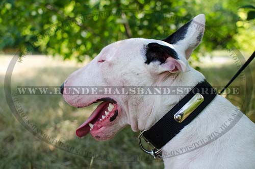 Zweischichtiges Hundehalsband aus Nylon für Bullterrier - zum Schließen ins Bild klicken