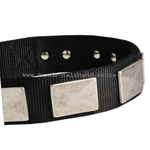 Fine Nylon Dog Collar With Vintage Plates - Click Image to Close
