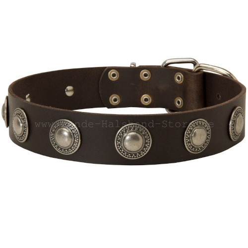 Leather dog collar with silver conchos - Click Image to Close